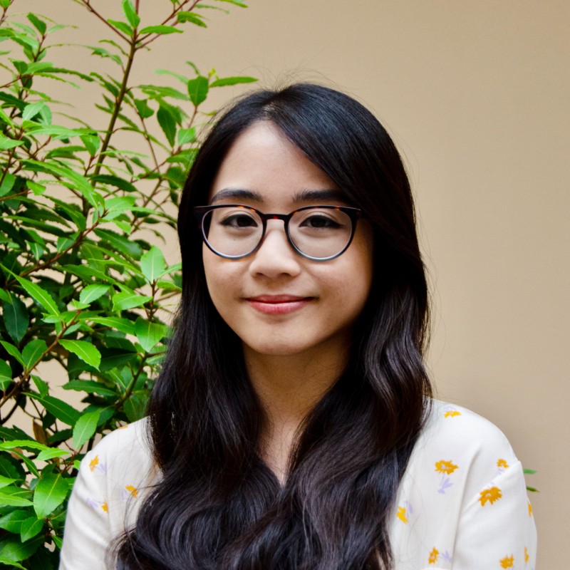 Hoa Mi Nguyen